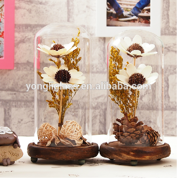 Fantastic glass cover ,micro landscape with wooden base for home decoration