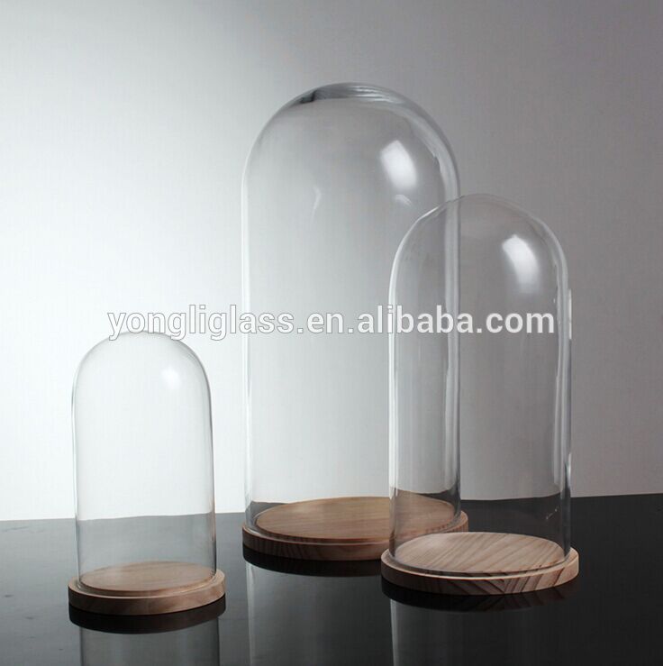 Wholesale eco-friendly glass cover ,micro landscape with wooden base for home decoration
