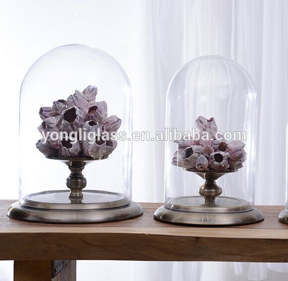 New product clear glass cover ,micro landscape with metal base for home decoration