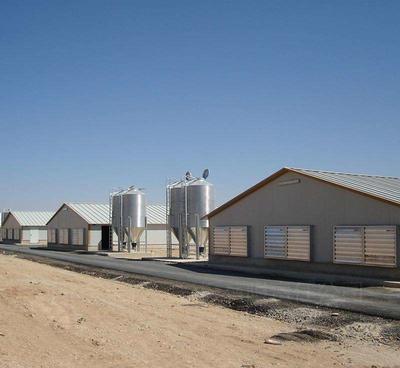 Prefabricate Prefab Steel Structure Dairy Cow Shed Farm Poultry House For 10000 Chickens Price