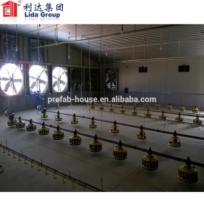 Prefabricated Broiler Chicken Poultry Farming House of Real Estate