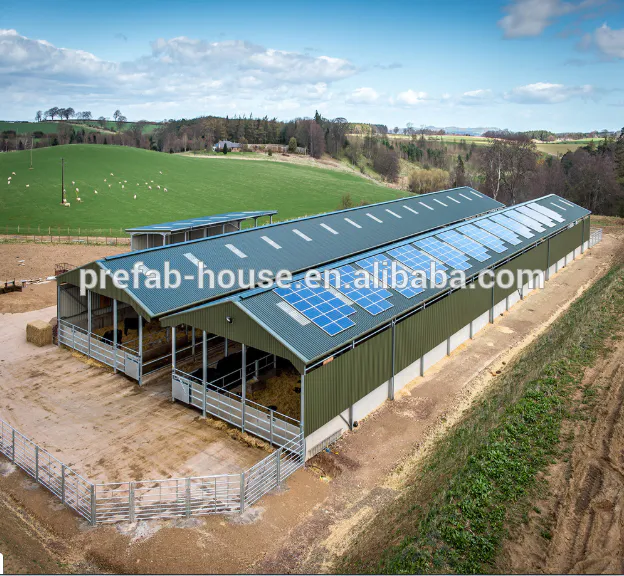Prefab Steel Shed Horse Stable Metal Structure chicken Cow Farm Building