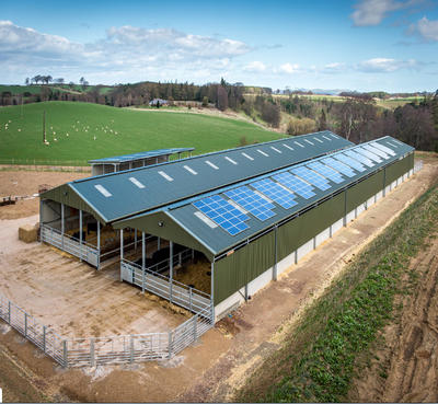 Environmental Control Poultry Shed
