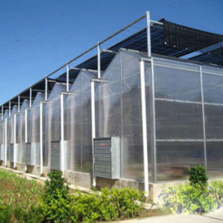 Multi-span agricultural Polycarbonate/PC Sheet Greenhouse