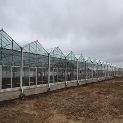 Prefabricated Steel Structure Green House