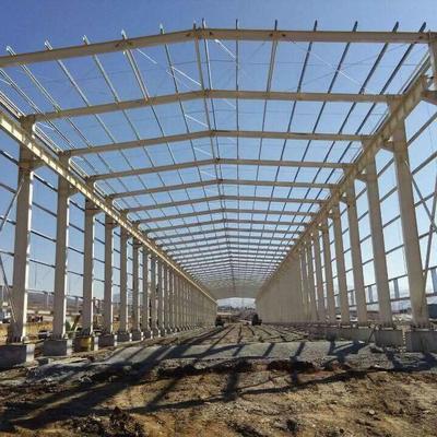 Prefab Structure Steel Crop and Animal Production Plant
