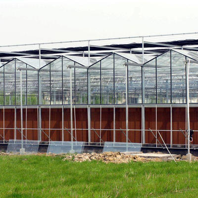 Cheap agriculture multispan greenhouse Venlo Glass Greenhouse