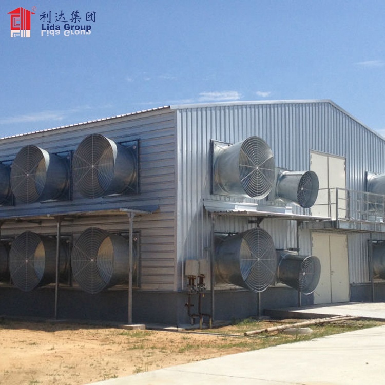 2019 Modern low price Poultry Farm chicken Buildings shed for sale