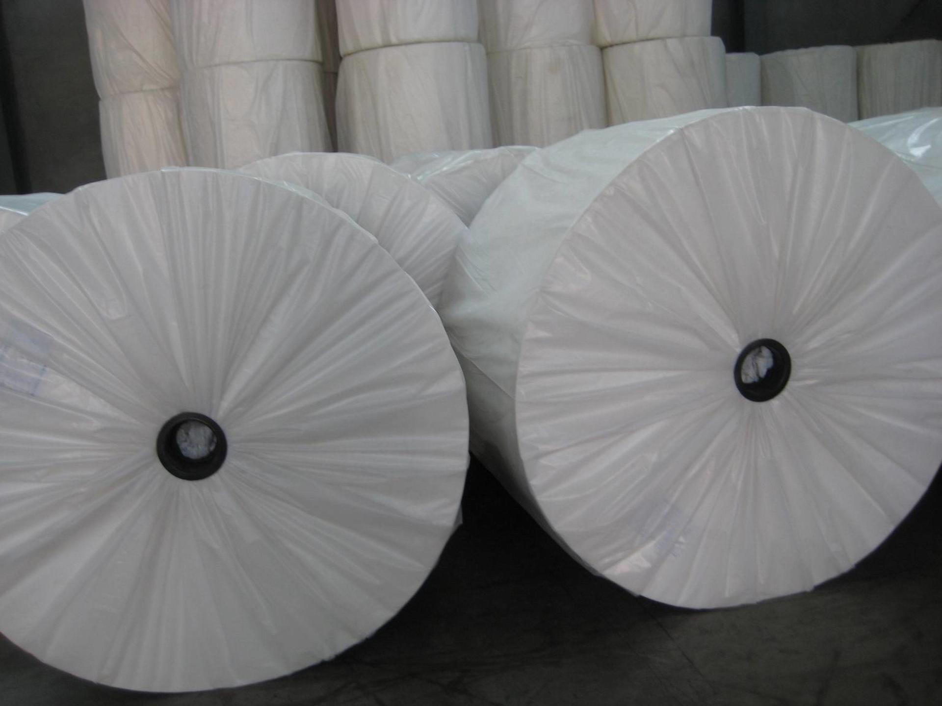 China 100% Polypropylene Nonwoven Upholstery Fabric