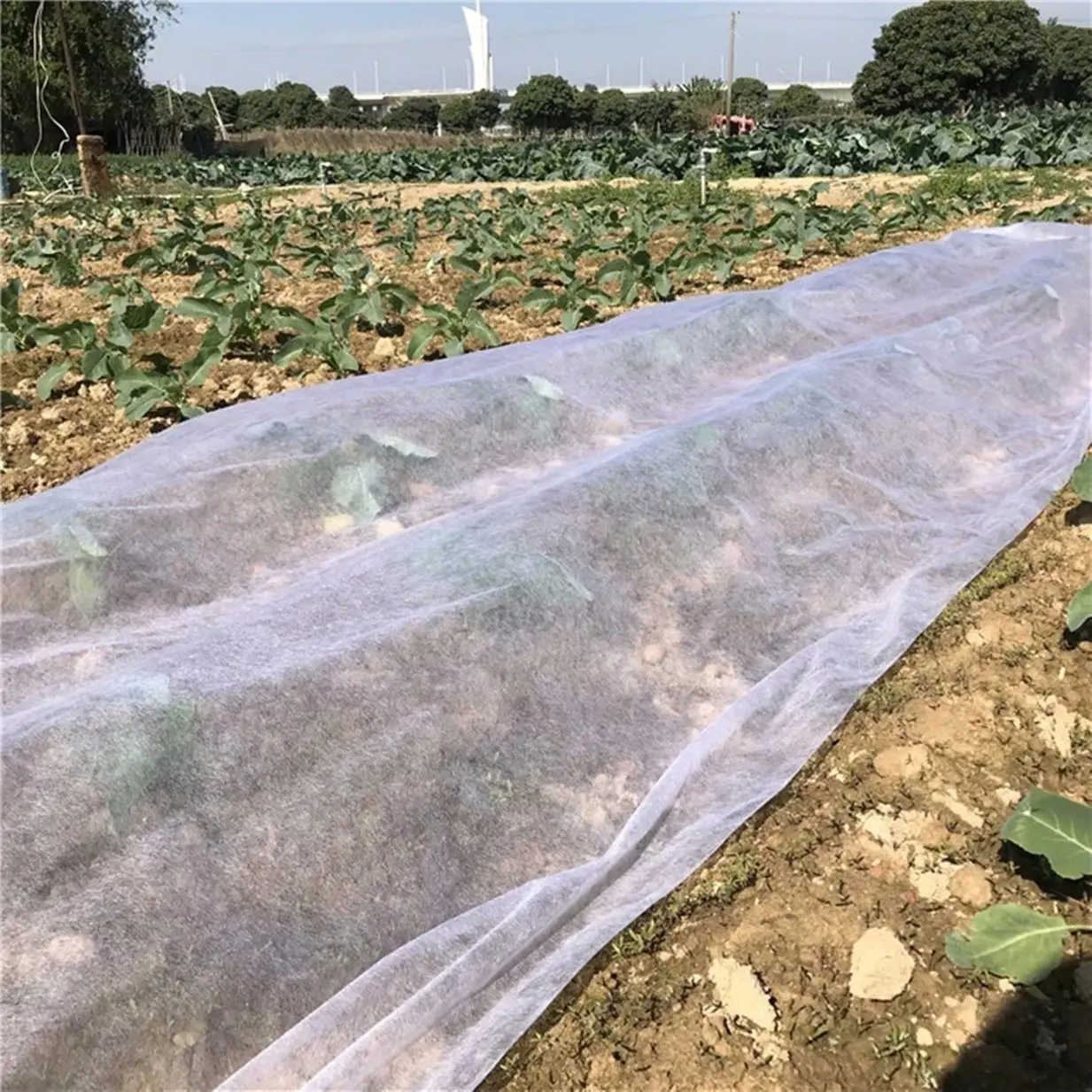 Breathable Nonwoven Fabric for Agriculture Cover