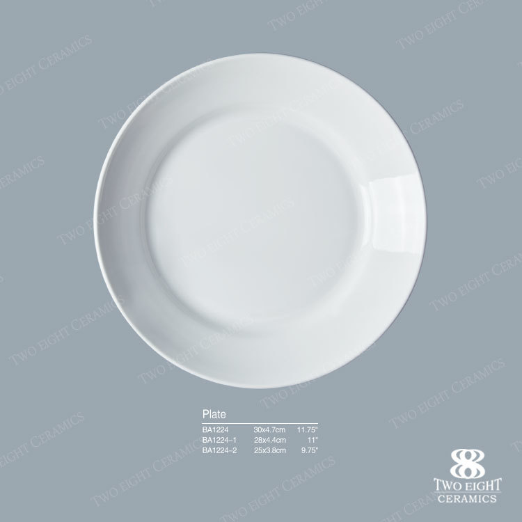 Two Eight White Round Ceramic Porcelain Restaurant Serving Plate, 9.75 Inch Cake Food Serving Dishes Plate