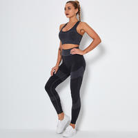 Seamless Women Sports Yoga Set Athletic Wear Push Up Fitness Bra Sets Sleeveless Top Workout Leggings Gym Suits