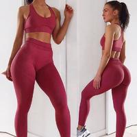 2020 New Arrivals Women High Elastic 2 Piece Slim Fit Fitness Yoga Active Wear Set