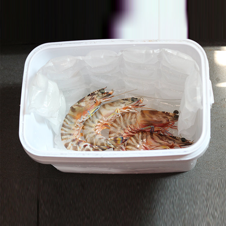 Food grade material plastic disposable ice cube pack bag