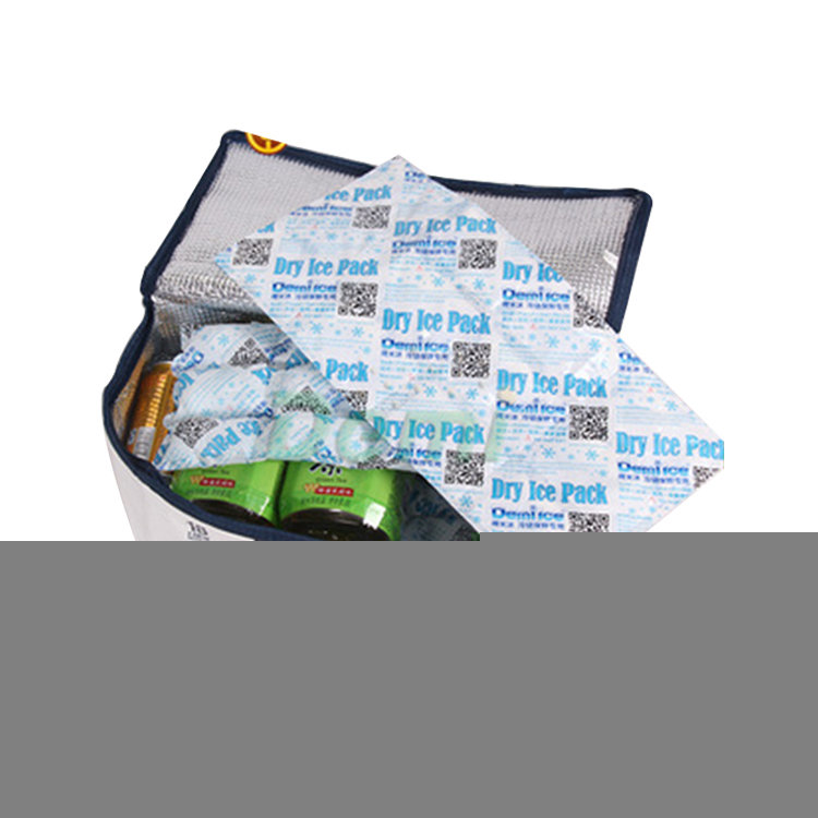 Wholesale customized FDA new style dry ice packs Food Grade Dry Ice Packs Cooler Bag Ice Boxes Reusable