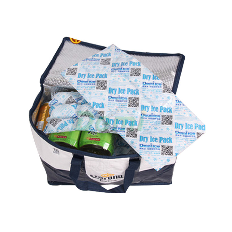 Eco-Friendly ISO9001,SGS Disposable Cooler Bag Ice Pack Sheet Dry Ice Pack for Food Delivery