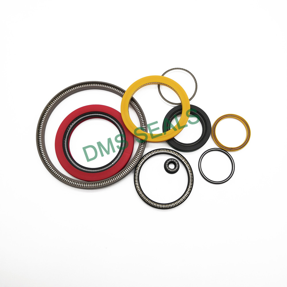 DMS Seals Customized spring energized teflon seals wholesale for cementing-28