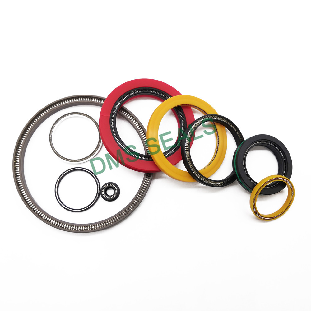 product-Professional spring energized ptfe seal for sale for valves-DMS Seals-img