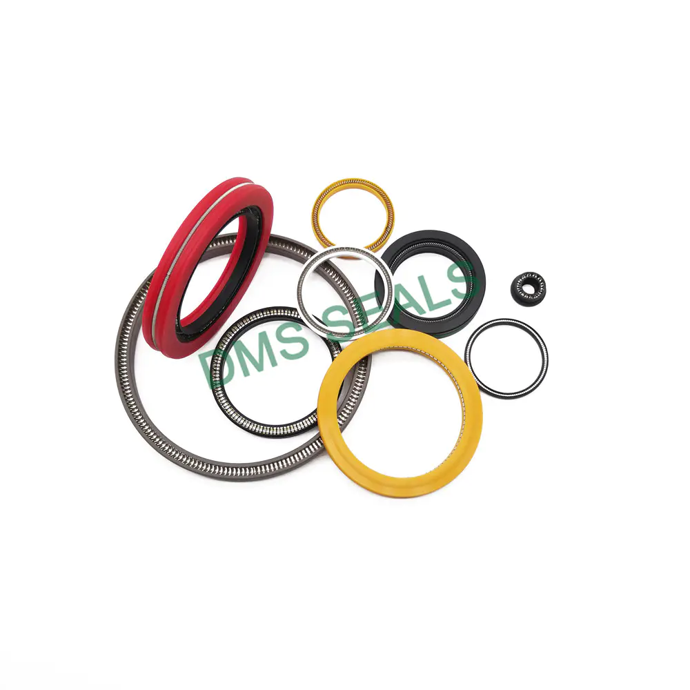 Chinese manufacturer variseal PTFE Glass/Pure PTFEspring energized seal double lip seal