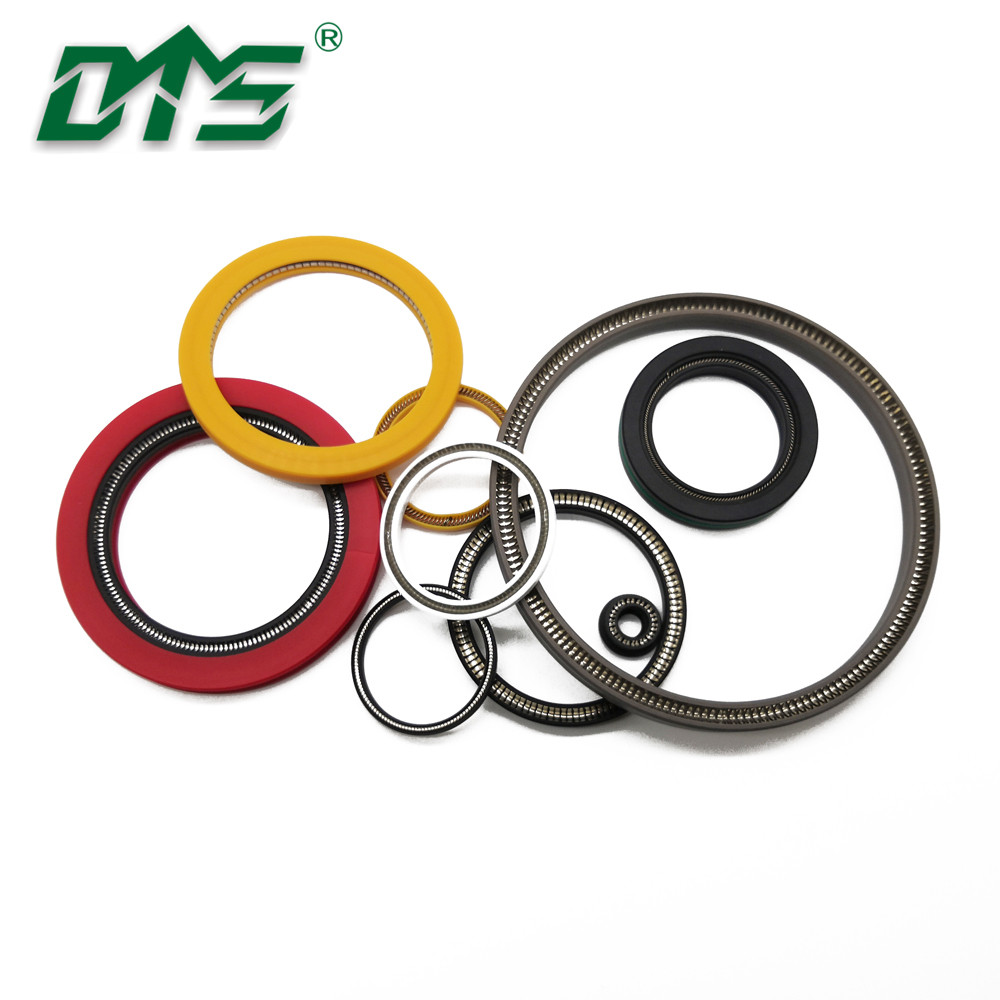 DMS Seals spring energized ptfe seal price for valves-28