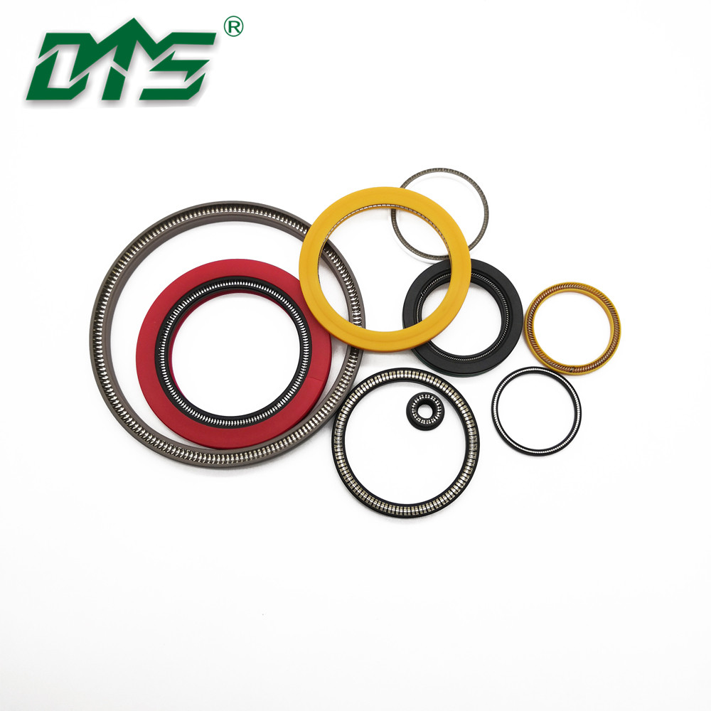 DMS Seals Customized spring energized ptfe seal price for fracturing-28
