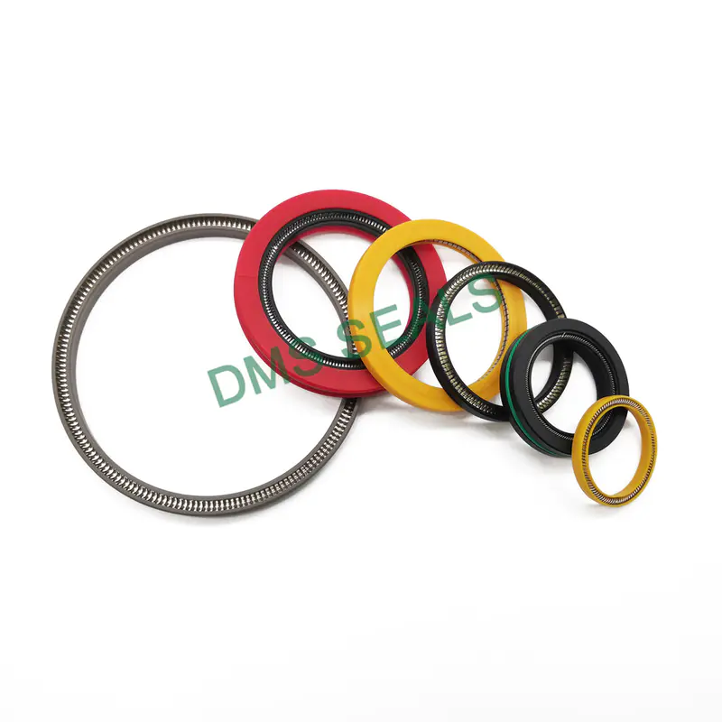 High Performance Spring Energized PTFE Seal For Hydraulic Rod Seal