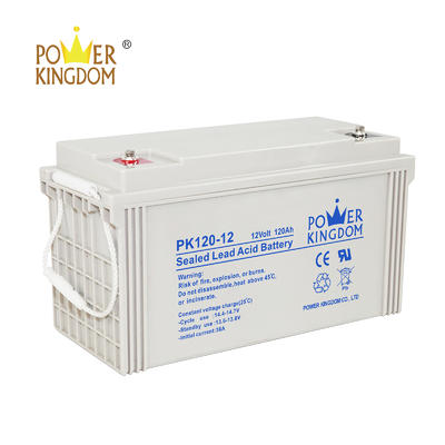 Power Kingdom 12v 120ah lead acid battery