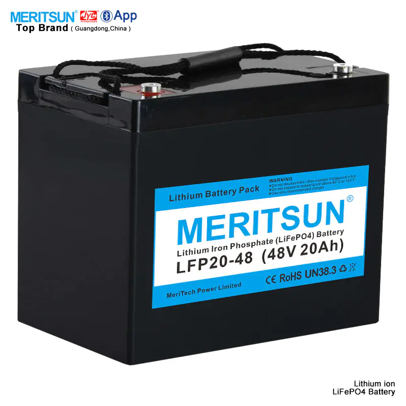 LiFePO4 Lipo Li Lithium ion 48V 20Ah Battery 10Ah 50Ah 100Ah 200Ah Pack