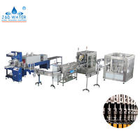 Automatic Fruit Juice Filling Machine Processing Production Plant Line For Sale