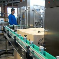 Complete Can Beverage Filling and Packaging Line