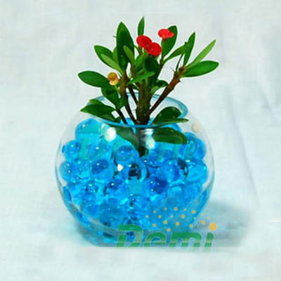 Economical Water Gel Beads Bio Gel Beads for Planting & Vase Decoration With Sap