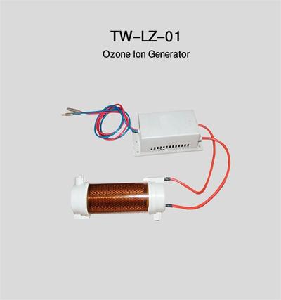 High Quality 220V/110V/12V/24V Accessories Mini Ozone Ion Generator