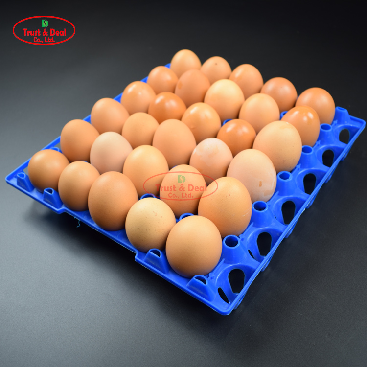 pure plastic egg tray for egg breeding farm and breeder breeding farm