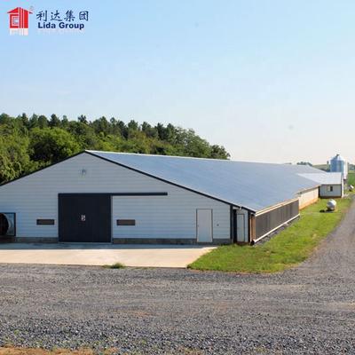 steel structure design poultry farm shed