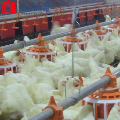 prefab light steel structure poultry farming