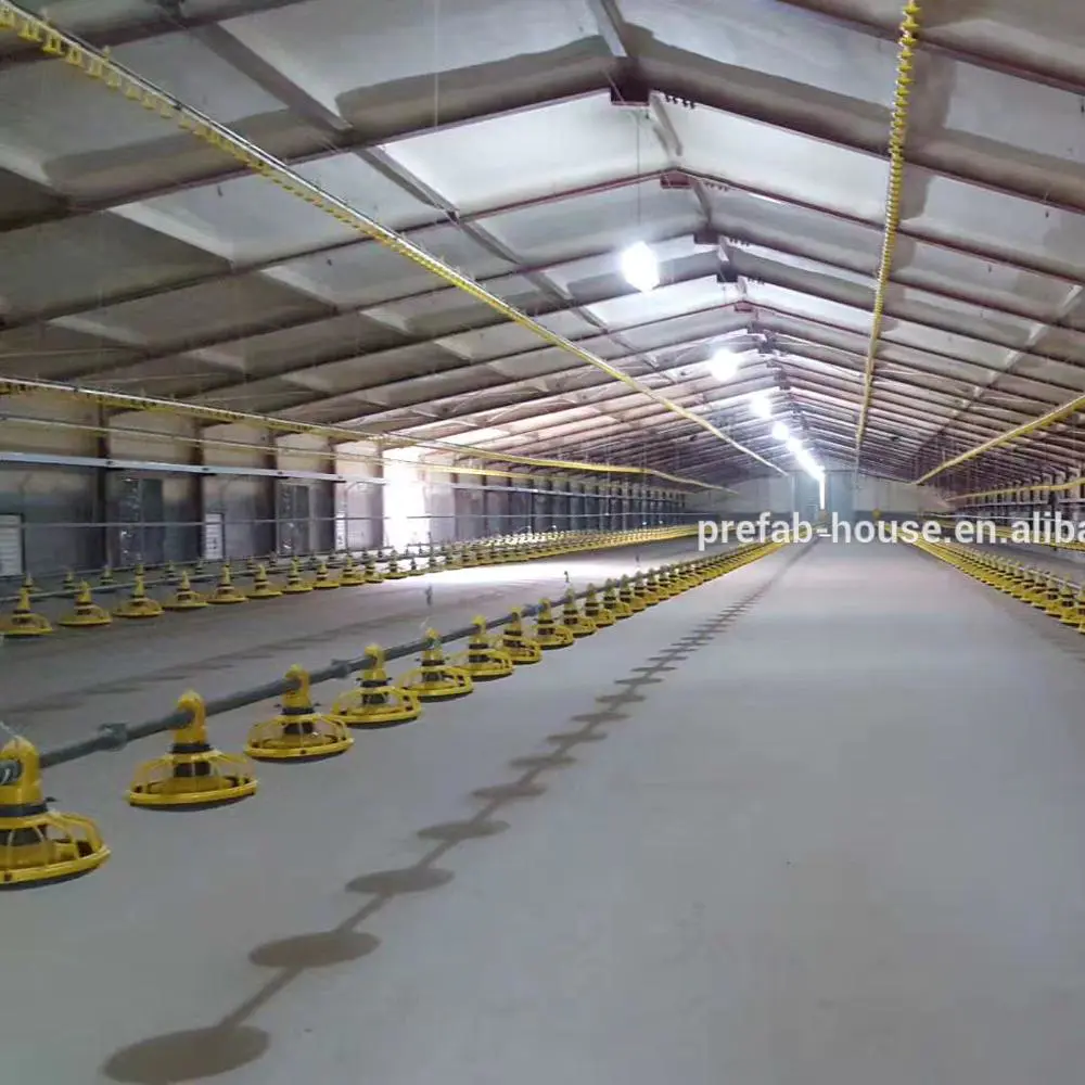 Layer egg chicken cage poultry farm house design 3000,5000,15000 birds