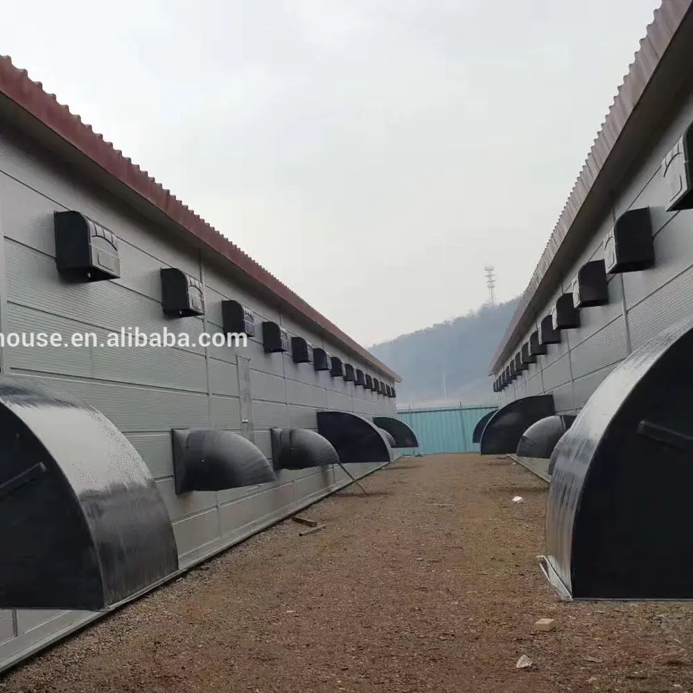 Chicken poultry house 3000,5000,15000 birds with competitive price