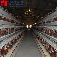 Design and construction of prefabricated buildings for poultry farming house100*12*4.5m