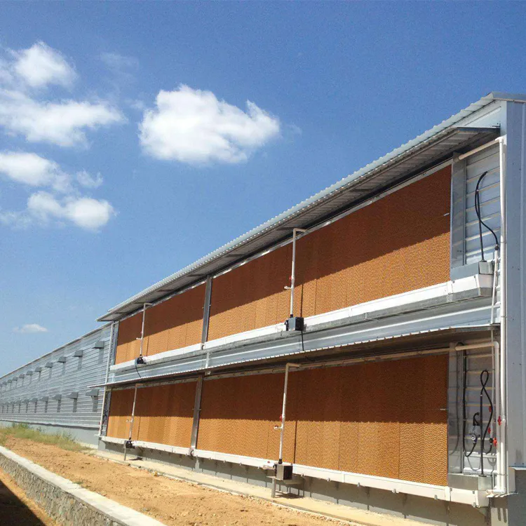 egg layer chicken and broiler chickenprefabricated poultry farm shed 100*12*4.5m