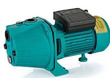 Garden Jet Pump (CGP750-JF1) with Ce Approved