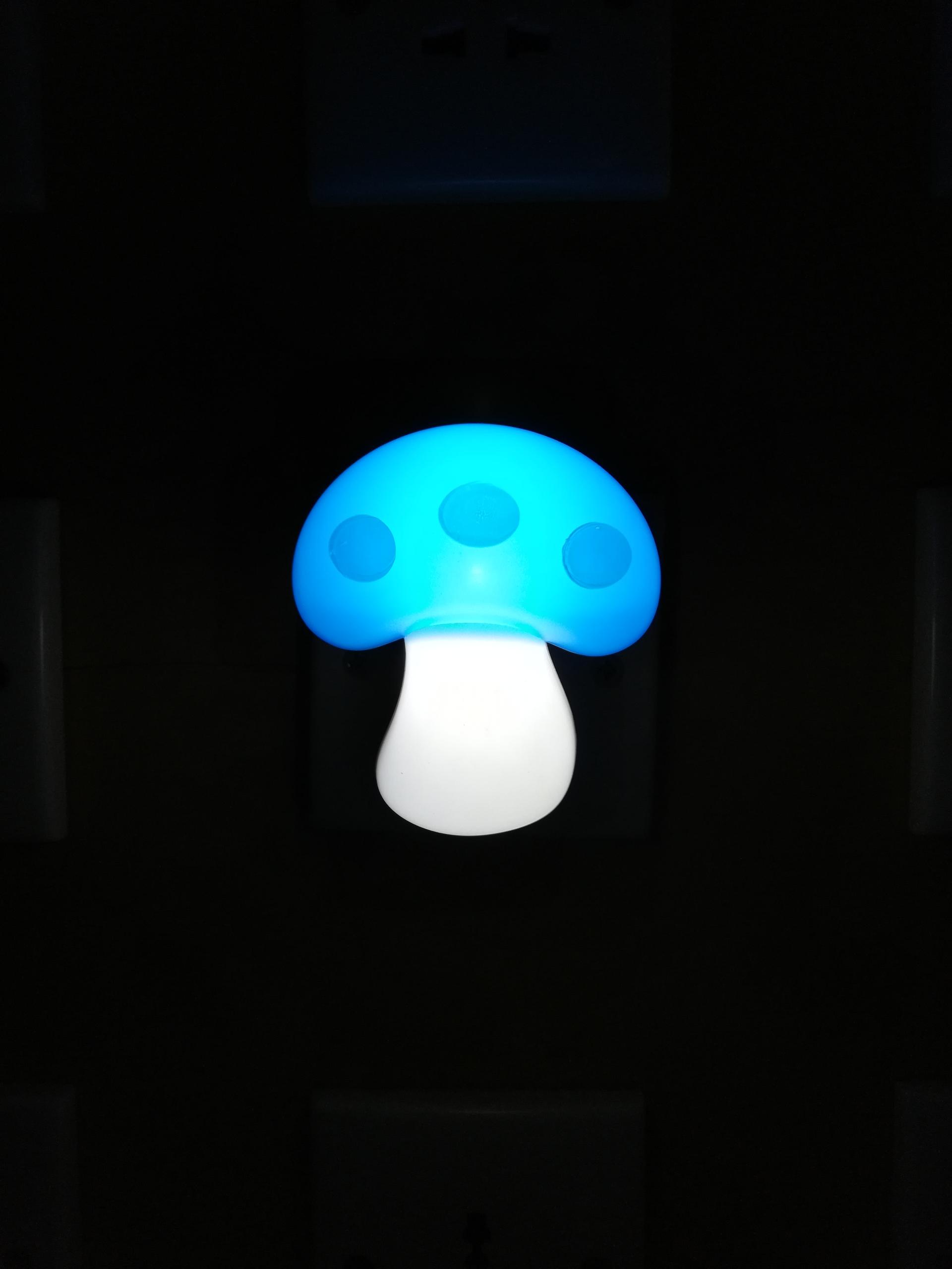 W116 The mushroom lamp switch plug in led night light For Baby Bedroom wall decoration