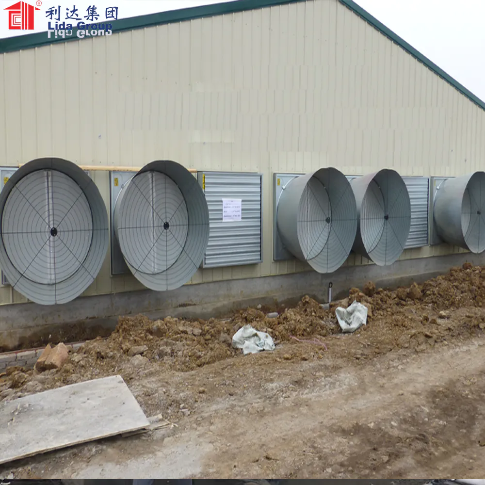 Prefabricated Light Steel Structure Broiler Poultry House for 10000 Chickens