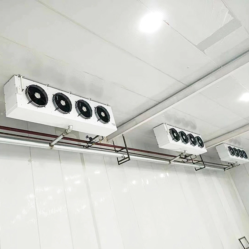 Cold Storage Room Container Cooling Room