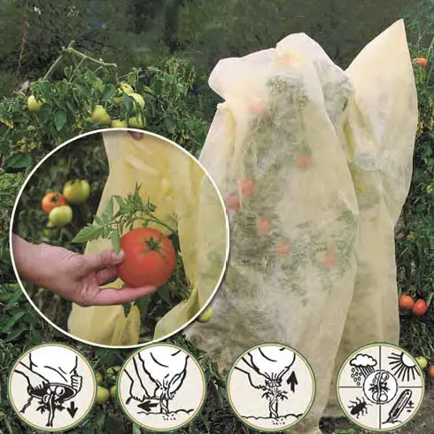 Environmental agriculture protection bags pp spunbond non-woven fabric fruit cover