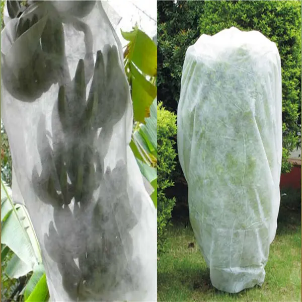 Banana/grapefruit cover 100% PP spunbond nonwoven fabric for agriculture fruit cover