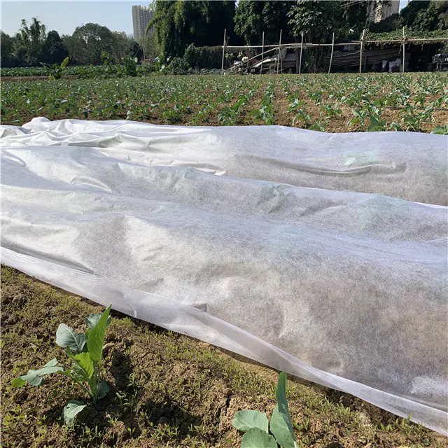 Wholesale Bio-degradable 100% ppnonwoven fabric for agriculture cover