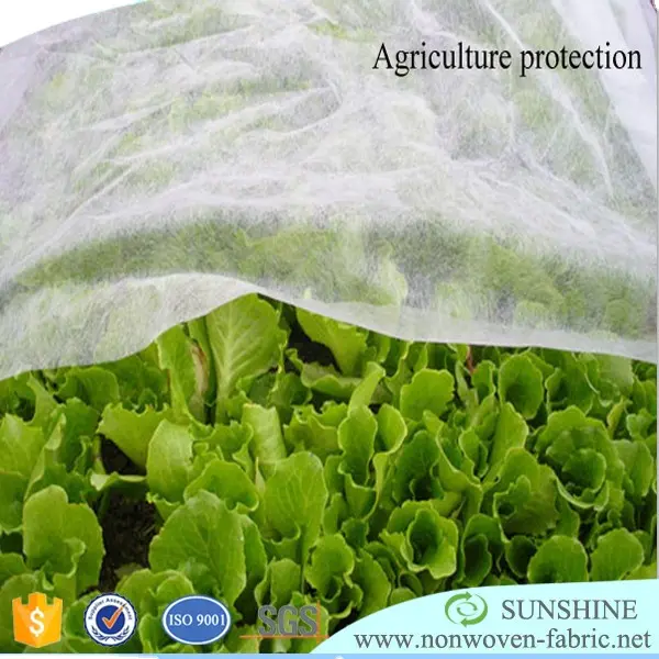 China Sunshine company recommend 60g 1m*50m roll pp nonwoven fabric for agriculture