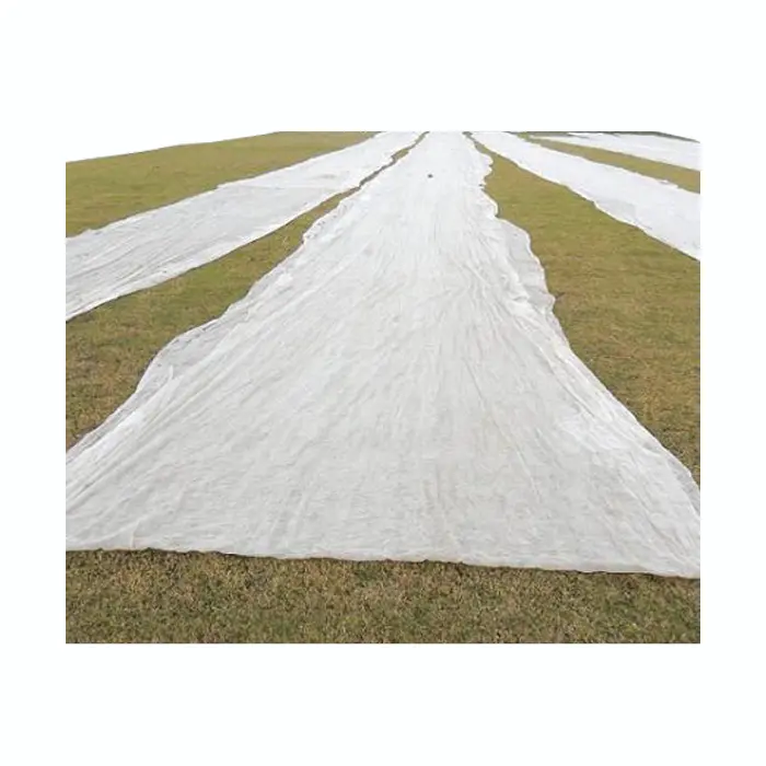 UV White Agriculture Ground Cover ,Black UV 10-50M Rolls Pp Spunbond Non Woven FabricFor Agriculture