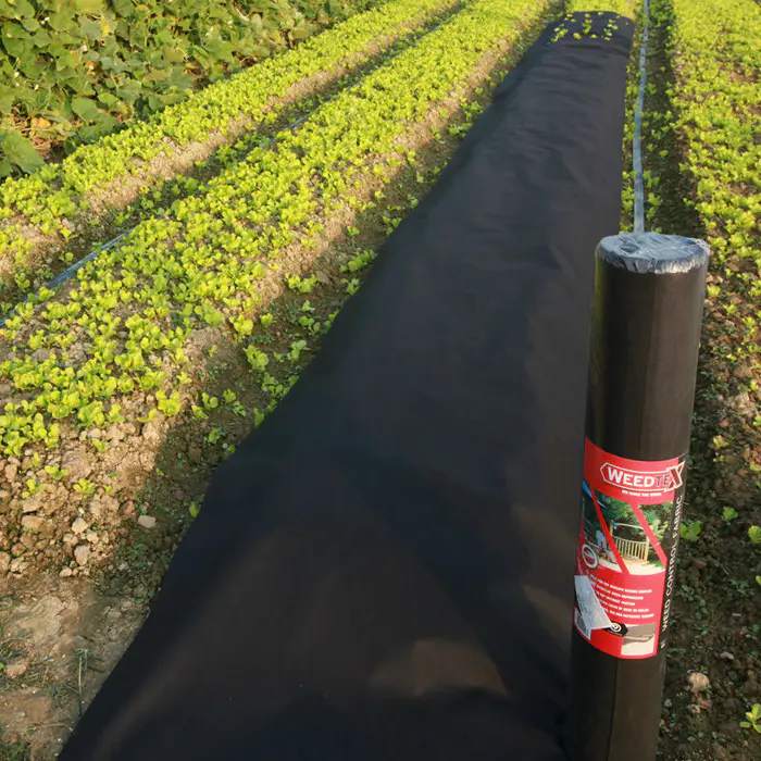 High quality polypropylene spunbonded nonwoven fabric for Agriculture cover and weed control