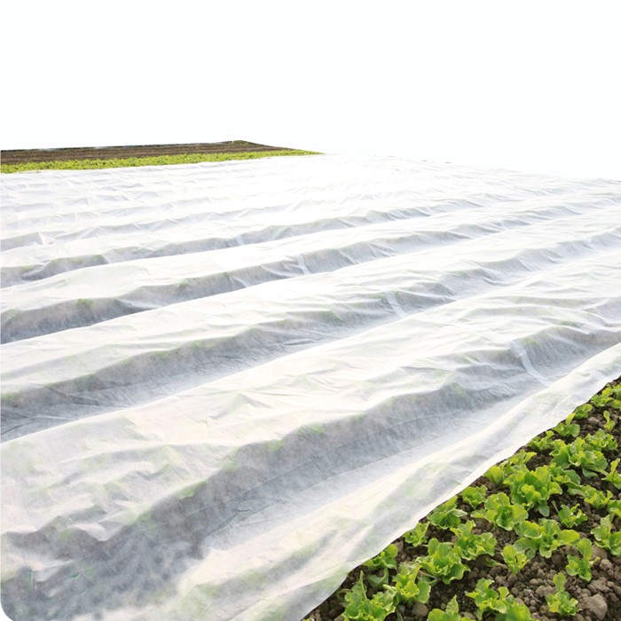 100% PP non-woven fabric for agricultureplant/crop cover protection ...
